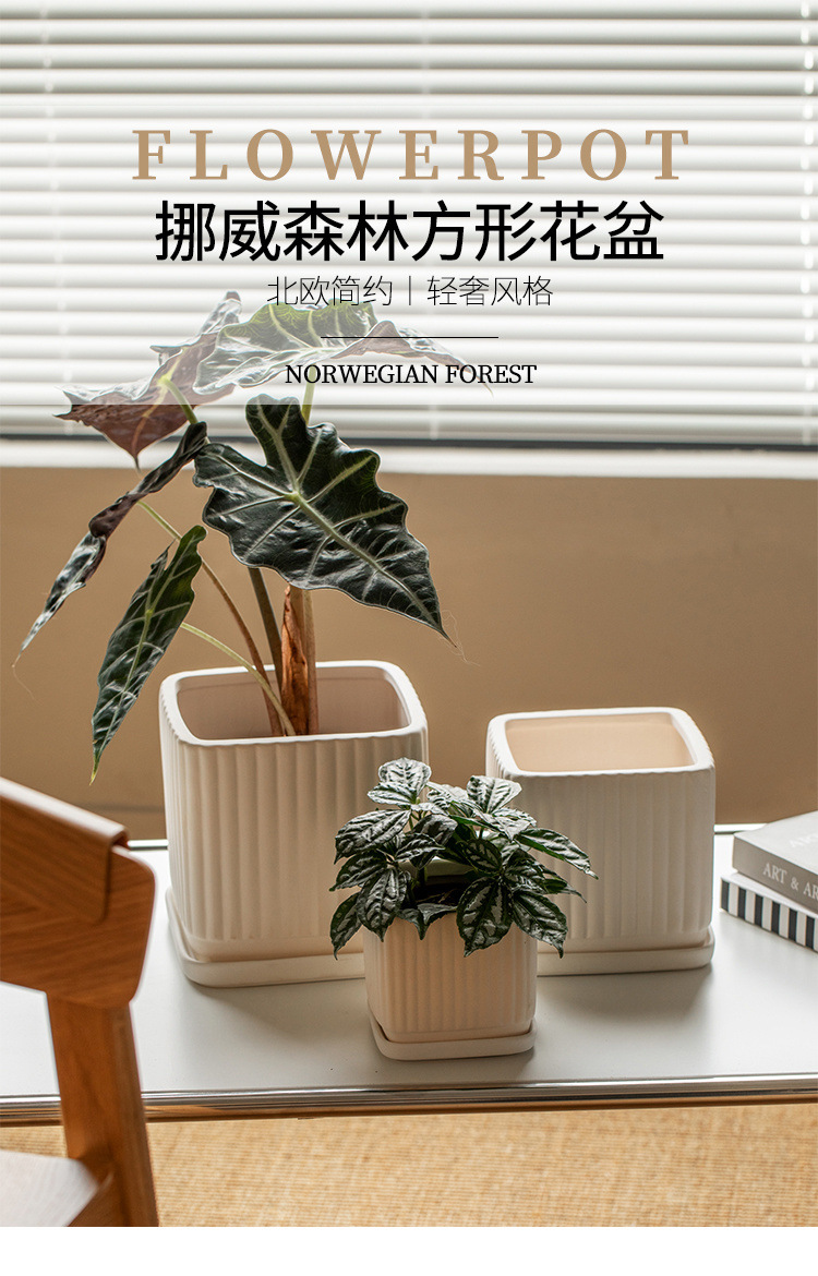 5208f6d4-98eb-4c4e-879b-810cdccaae70.jpe