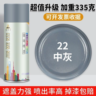 Avtomobil boya qələmləri – can, for wall and car - one-bottle-large-size-22-medium-gray450ml