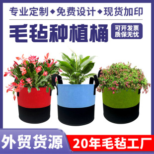 �羳�Ӻ�ë�ַNֲ���߲��¼����NֲͰ �@ˇ��������ֲ��Ͱ�����