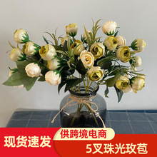 �Ҿ��b�Y����С�ѻ����Ҳ���Ӱ�ǔ[�����컨���⻨���řڻ�