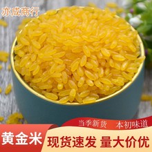 黃金米批發 長粒香米彩色米25kg 五谷雜糧黃金玉米粒