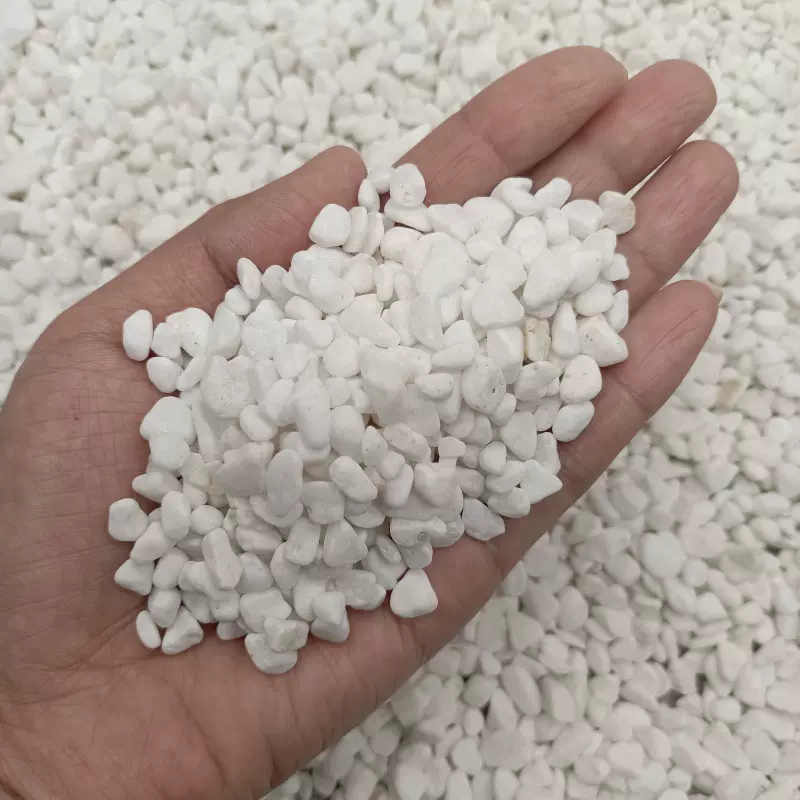 50斤白色石头大鹅卵石水洗石庭院铺地铺路花园盆栽鱼缸装饰白石子