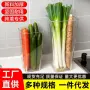 多功能大容量厨房透明收纳筐