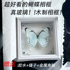 蝴蝶标本相框摆台吧唧徽章中空玻璃展示框diy干花欧式实木制相框