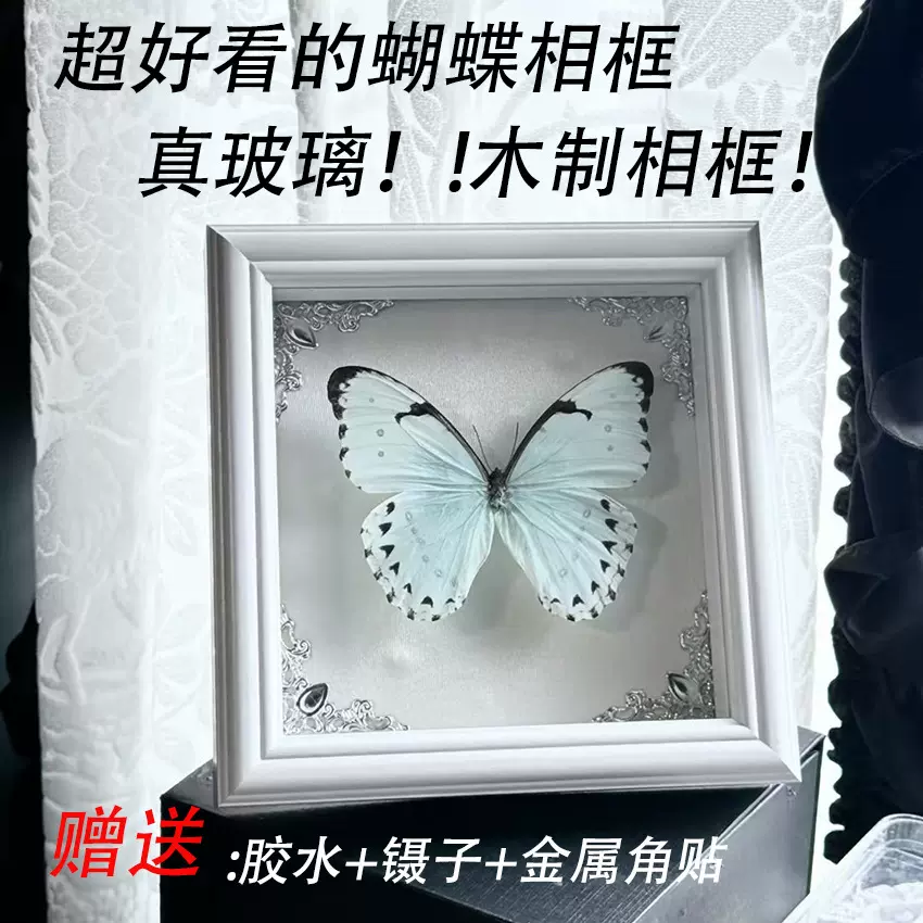 蝴蝶标本相框摆台吧唧徽章中空玻璃展示框diy干花欧式实木制相框
