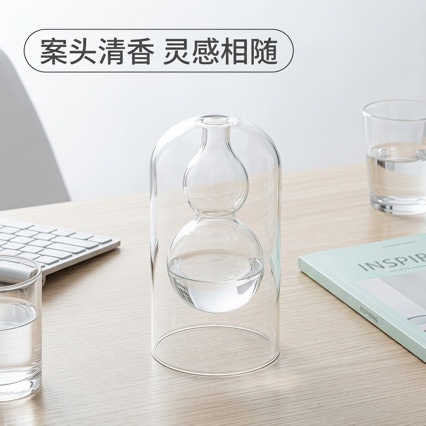 Frasco Difusor de Aroma de Vidrio de Borosilicato Alto, para Aromaterapia de Hogar
