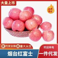 ���lɽ�|��̨�t��ʿ�O�����rˮ�����r���������������lȫ�깩��