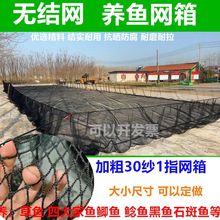 水库鱼塘养鱼网箱 聚乙烯 黑色加粗无结网箱  存鱼网箱 抬网