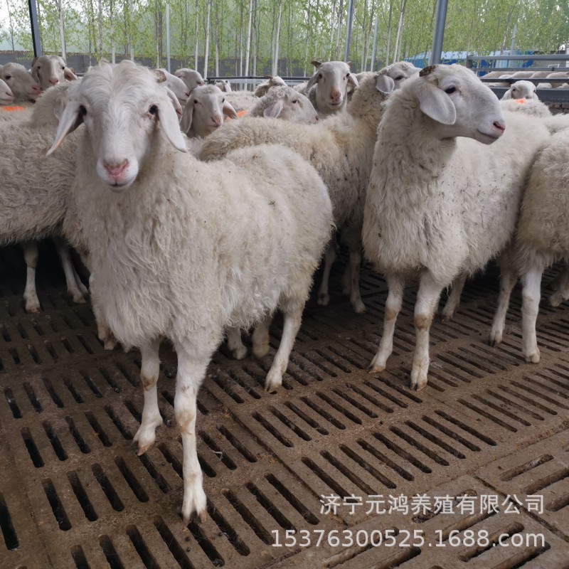 505C1E58309BA2D9D1F175DDBC0B27