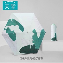 ����ɡ������ɹ��������̫��ɡ��Я�۵�����Ů����51131���˰Ž�