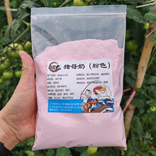 �iĸ����~Сș�ߝ�������ĩ�㾫�~�D�a�~���~�_���iĸ�����ӄ�