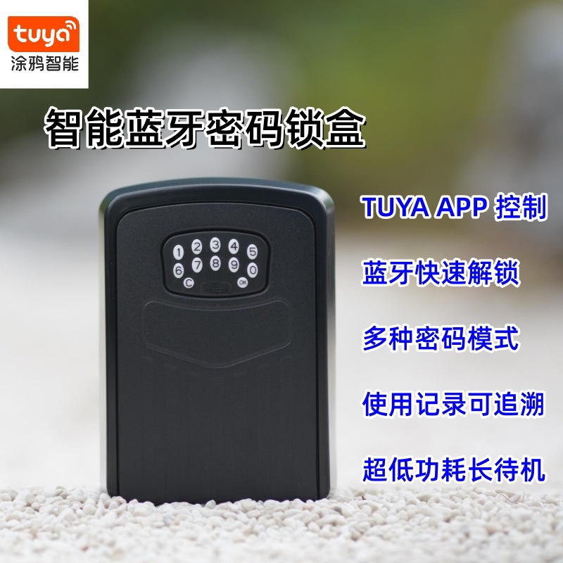 批发智能钥匙盒密码锁户外壁挂远程共享涂鸦蓝牙储物盒智能防盗