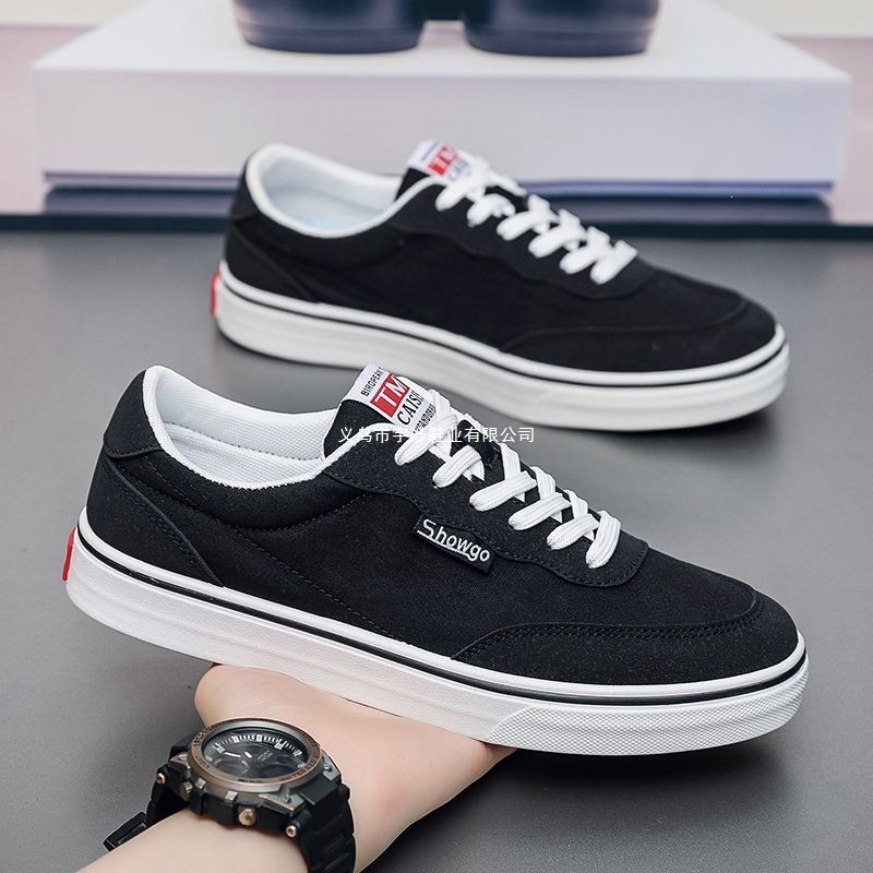 2025 New Breathable Summer Ins Canvas Shoes for Men, Casual Versatile Trendy Non-Slip Youth Sports Sneakers