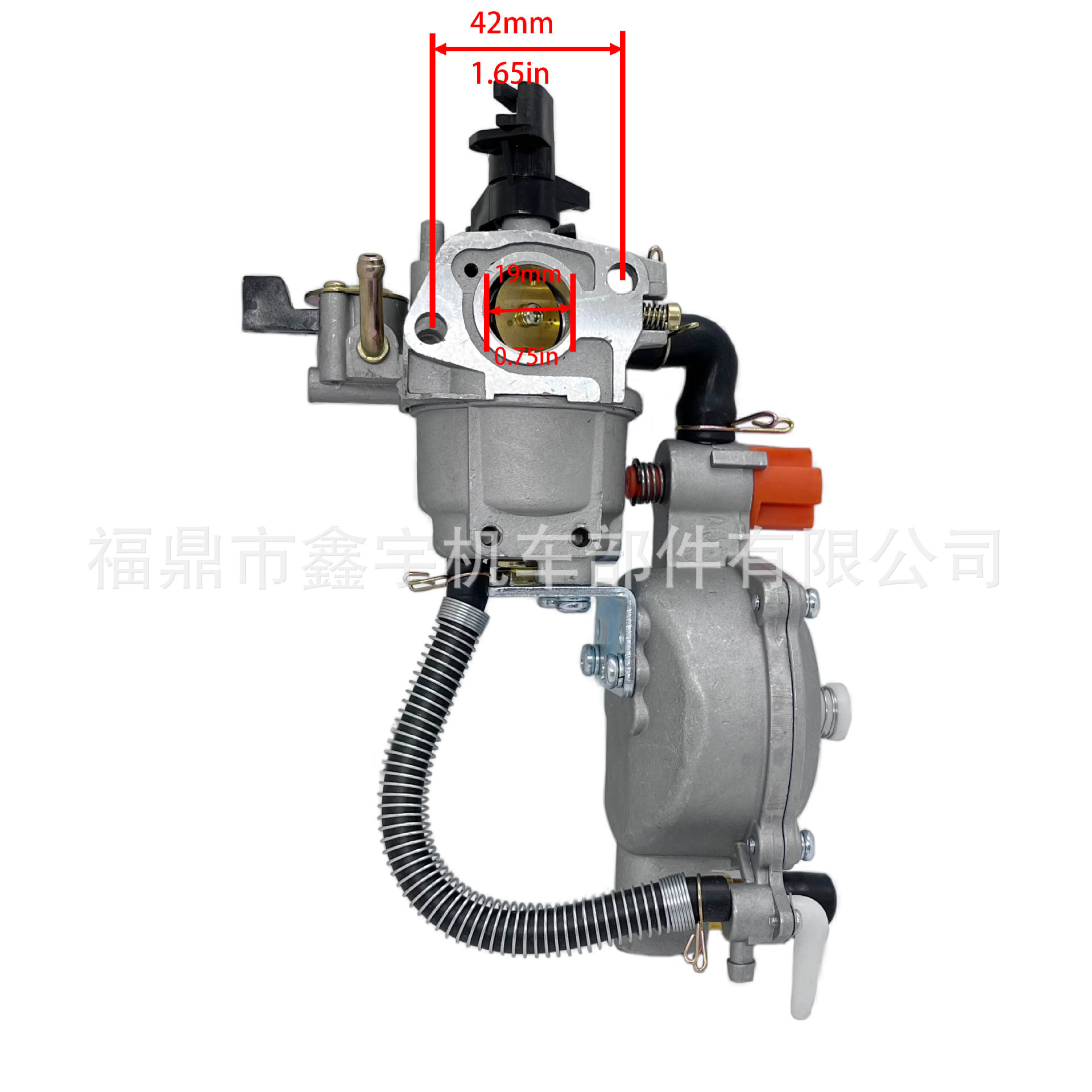LPG Carburetor 168F 170F GX160 GX200 汽油机水泵双燃料化油器