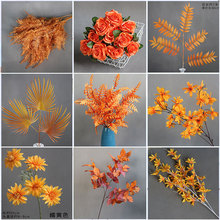 ɫ滨cˇɫYb·ŹT