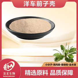 洋车前子壳粉 美禾生物圆苞车前子壳粉 代餐原料粉 现货