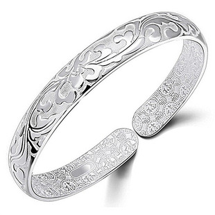 �������_�����C  ��y���C�� 9��ĵ�����_�ڿ��{�� �_�����P ���l