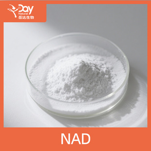 NAD+�����������ʶ�������99%���yƷԭ�� �F؛���l �S�Ұ��]Ʒ