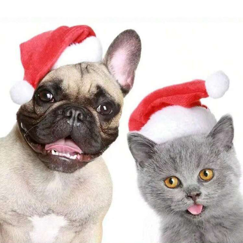 国境を越えたペットの犬のクリスマス帽子猫のクリスマス帽子セットはラベル付きで発送できます|undefined