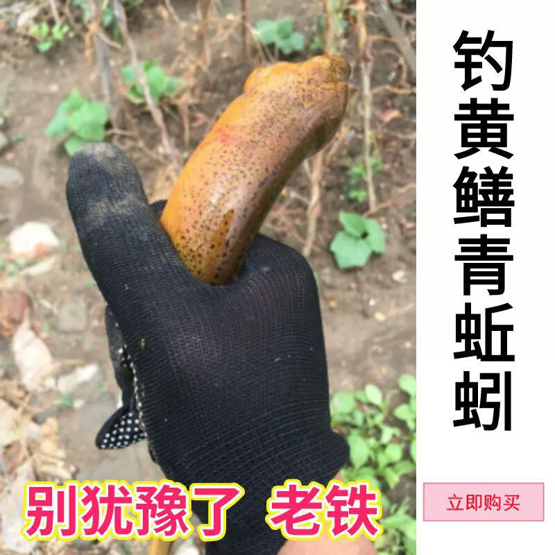 Оптовая редкостная черная земляworm живая наживка рыбалка желтая земляworms черная свежая вонючая зелёная земляworm наживка