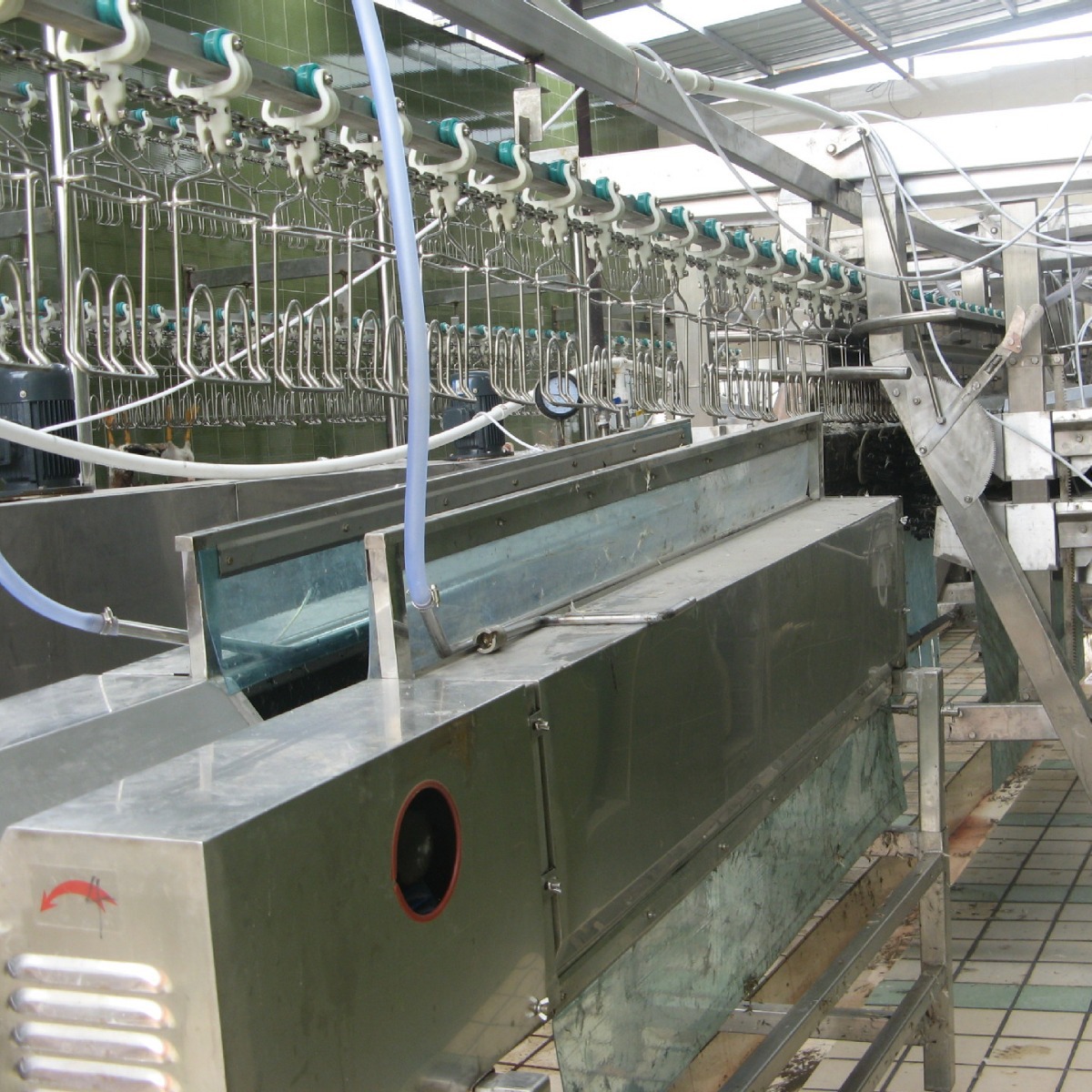 厂家直销家禽屠宰生产线  宰鸡宰鸭流水线 杀鸡设备