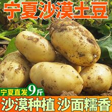 ����ɳĮ�����S���SƤ���r�SƤ�R����F���߲�����ɳ�����l����