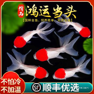 ���~���~�^�p�~���\���^�Q피t�{���^�~�絭ˮ���B�ͻ���ˮ�~����