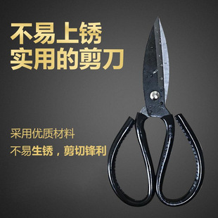 Scissors Household Industrial Carpet Tailor Cloth Cutting Paper Cutting Special Pointed Large Color Cutting Stainless Steel Scissors Strong Shears