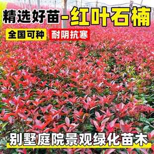 �t�~ʯ骘��������ļ����������Ե��Իh�ʘ��^�p�Gֲֲ��G����