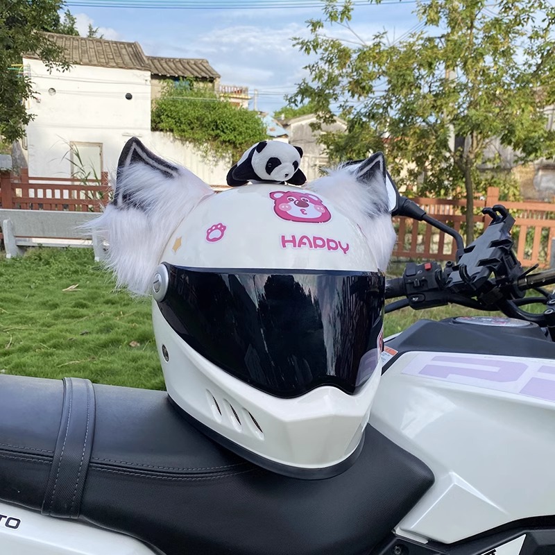 Helmet Decoration Cool Detachable Motorcycle/Ski Helmet