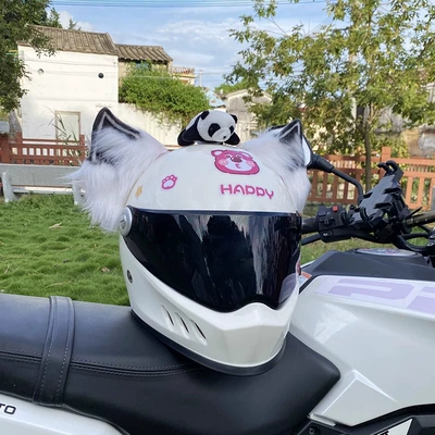 Motorcycle/Ski Helmet – Universal Auto Parts and Accessories