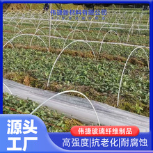 �S��ֱ�N�r�ò����w�S�U������ﹰ�U����䓷N�˼����߲˶��ǼܗU