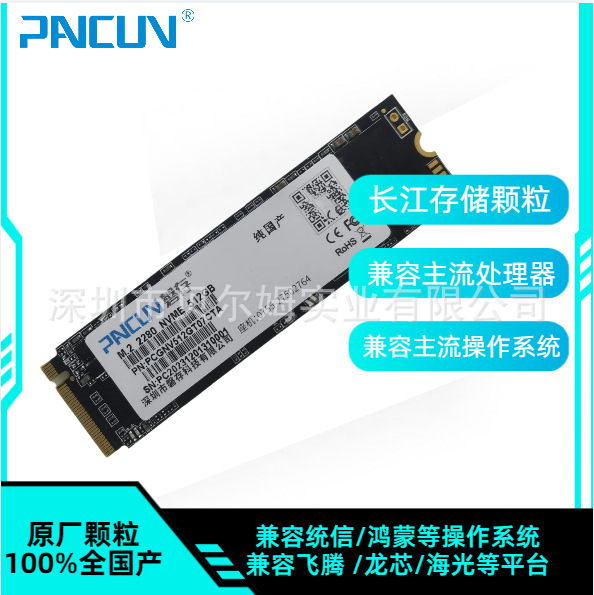 Pancon Nationwide Solid State Drive Yangtze River Storage M.2 Nvme128G\512G\2Tb Gen4*4 Ssd