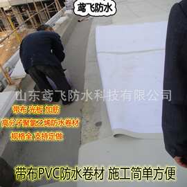 带布聚氯乙烯PVC防水卷材 高分子防水卷材 加筋耐根穿刺防水卷材