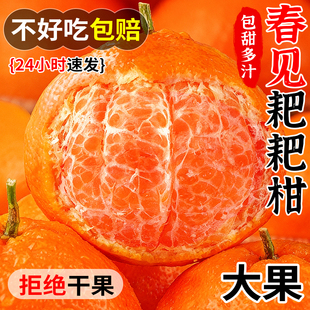 ��Ҋ�ҰҸ�����ժ���θ����rˮ�����������9���ٸ��ٽ�����