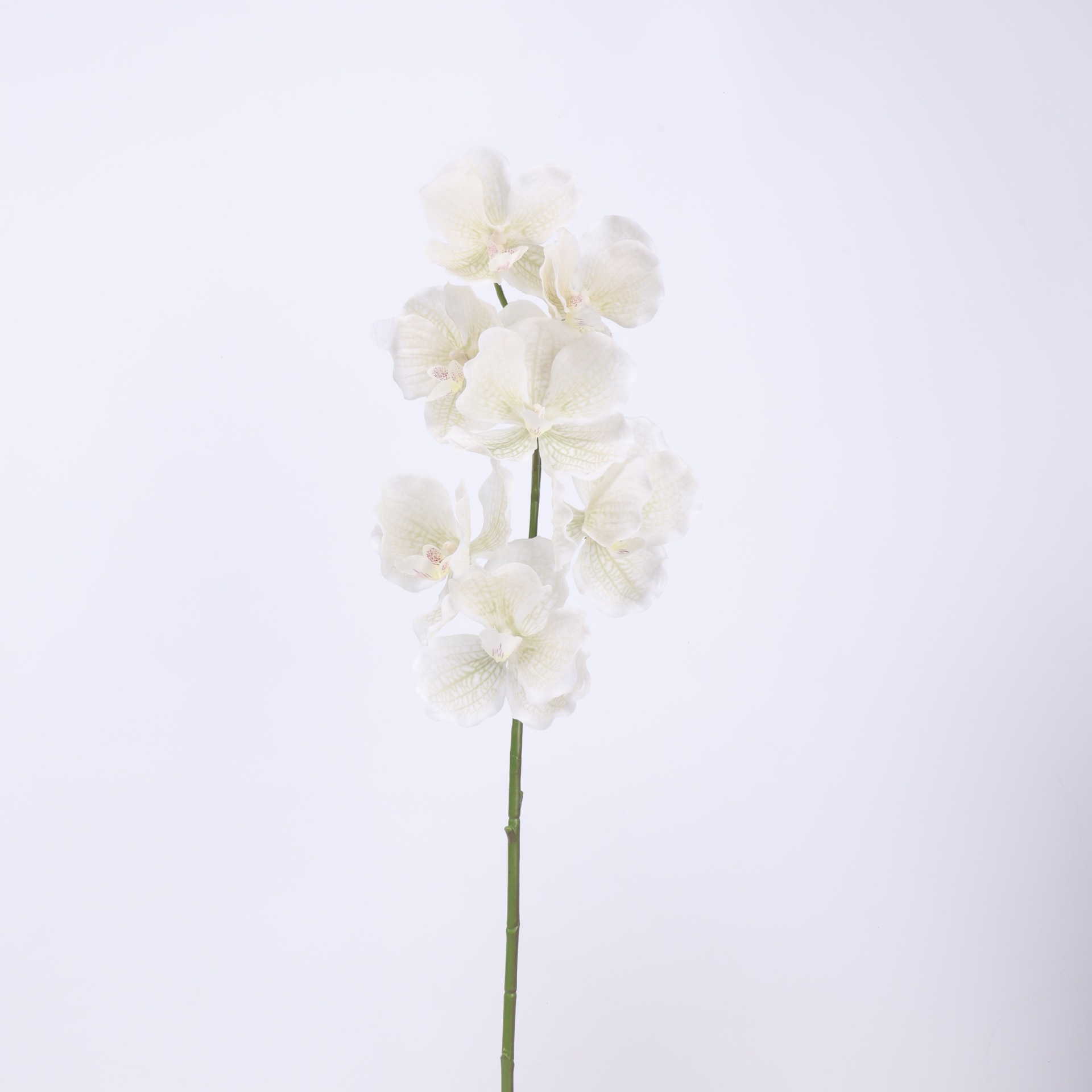 Fábrica directa de 7 orquídeas mariposa orquídeas