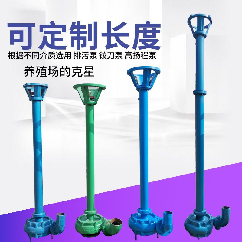 2寸3寸4寸杆泵NWL铸铁排污泵高压带电机泥浆泵抽粪泵化粪池吸粪机
