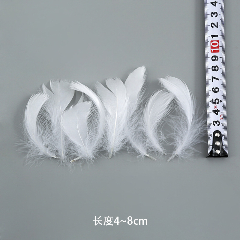 Xiao Piao (50의 배수로 주문)