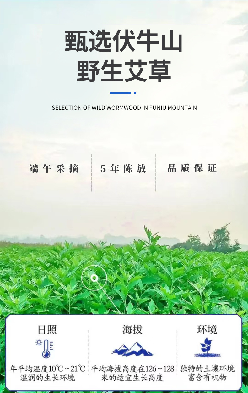 Glucosamine Chondroitin Herbal Patch with Mugwort for Neck Back Knee Joint Support 8 Patches per Box specifications