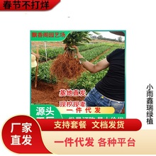 ̨���S���۽ۘ���������������С���R��ӿȪ���٘�o�����٘���