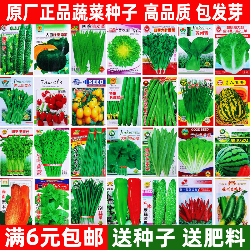四季蔬菜种子菜种籽青菜白菜萝卜夏秋耐热各种瓜果蔬菜籽种孑大全