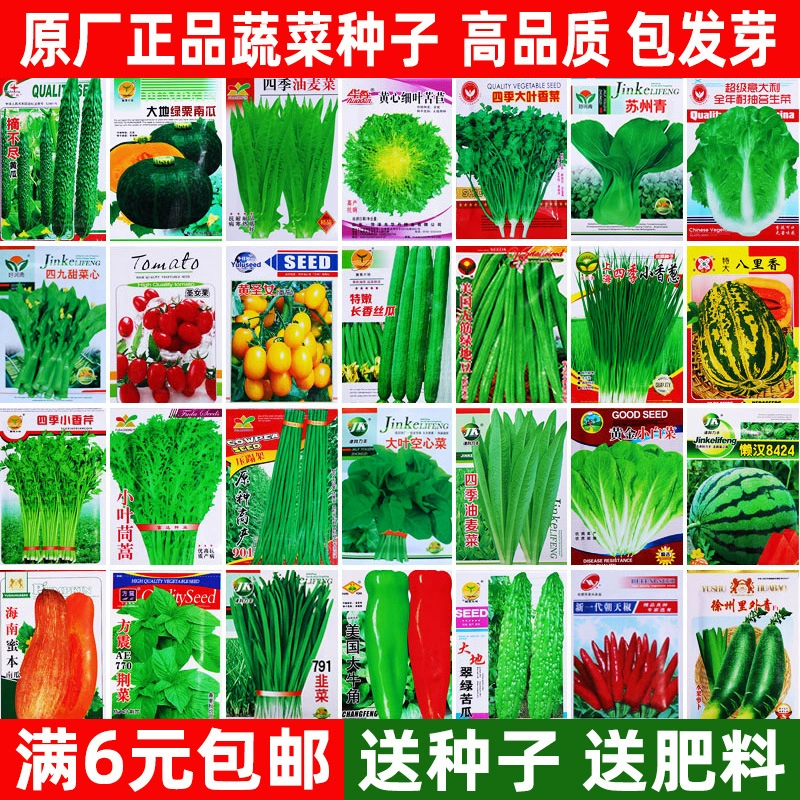 Четыре сезона семян овощей, семена овощей, капуста, редька, жаростойкость летом и осенью