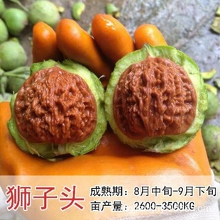 �޽����º������Ե����ϱ����Nֲ��Ƥ�������ͺ��߮a�׻��Y��