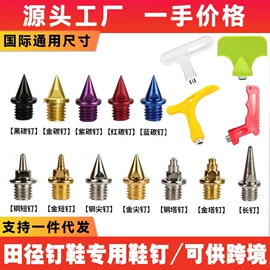 综合训练鞋;轮滑、速滑;篮球服