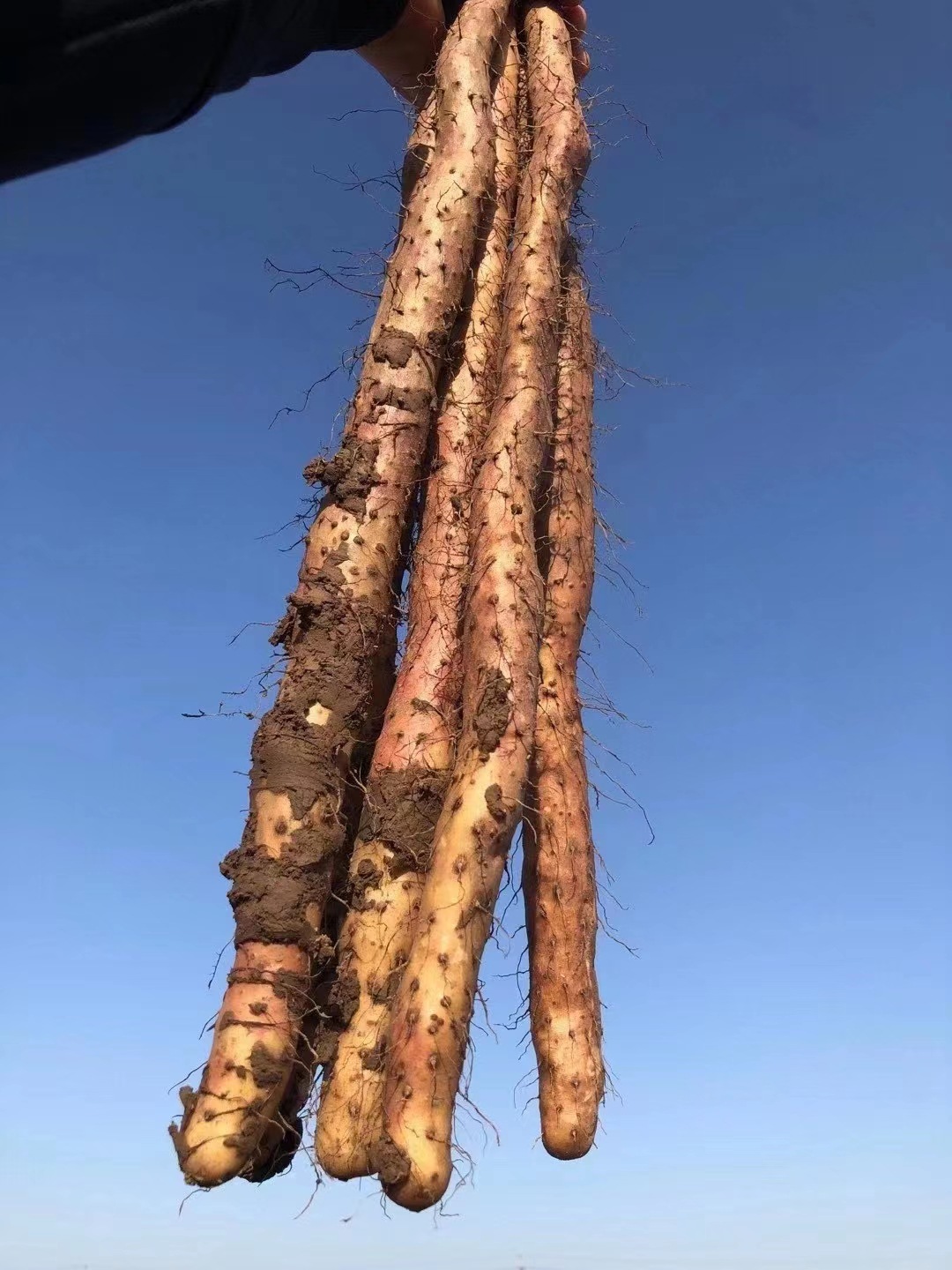 微信图片_20231103164844