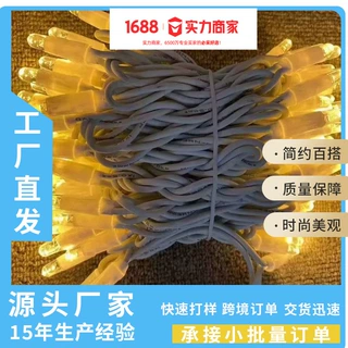 跨境工厂装饰橡胶线灯串LED小彩灯条满天星节日造型炮口灌胶灯串