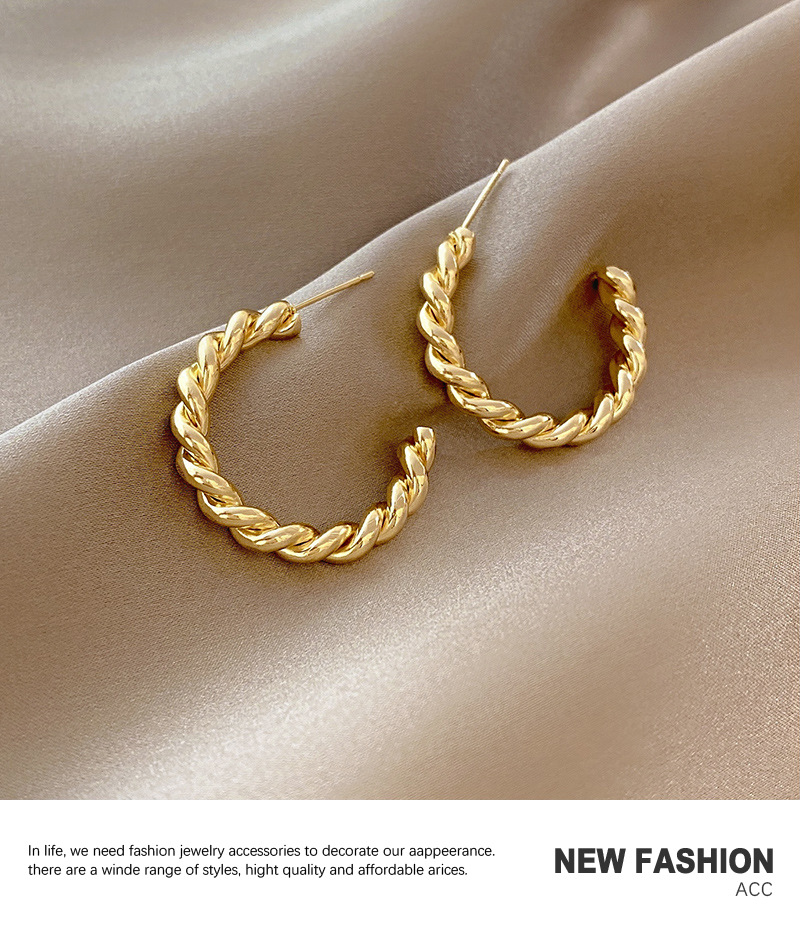 Internet-promi Ins Stil Mode Einfache Ohrringe Weibliche Persönlichkeit Design Metall Twist Ohrringe Kalten Wind All-match Ohrringe display picture 6