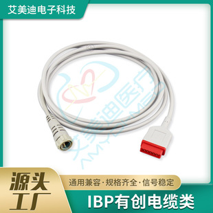 �����R��11p IBP�Є���|������