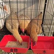 �uʳ��ιʳ���ˮ���hι�uʳ���L���λ\��ιʳιˮ���������ιʳ