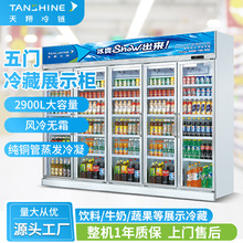 天翔冷链送货到店五门商用饮料柜 超市便利店冷柜风冷保鲜柜冰箱